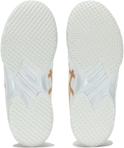 Asics Gel-Resolution 8 Grass Court Men's Shoes 1041A219-101
