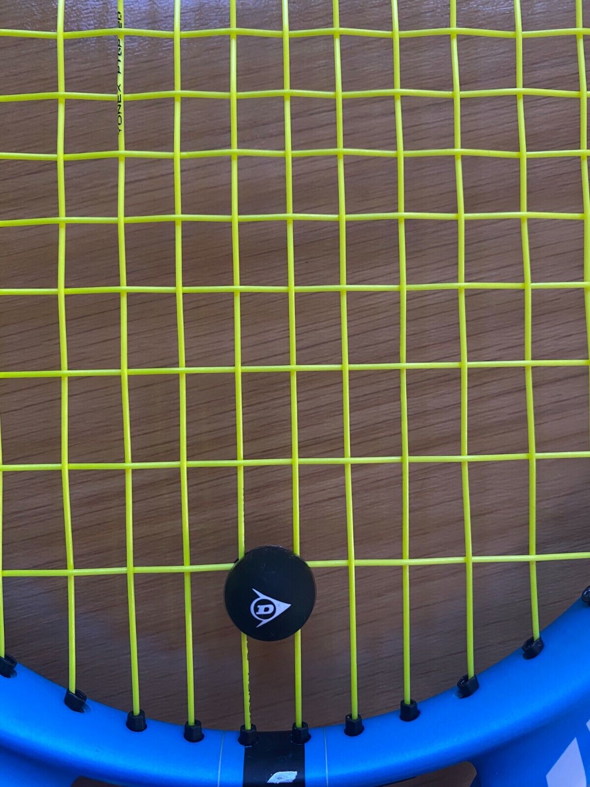 Dunlop Tennis Squash Vibration Dampener Shock Absorber Damper Ball 2 Pieces